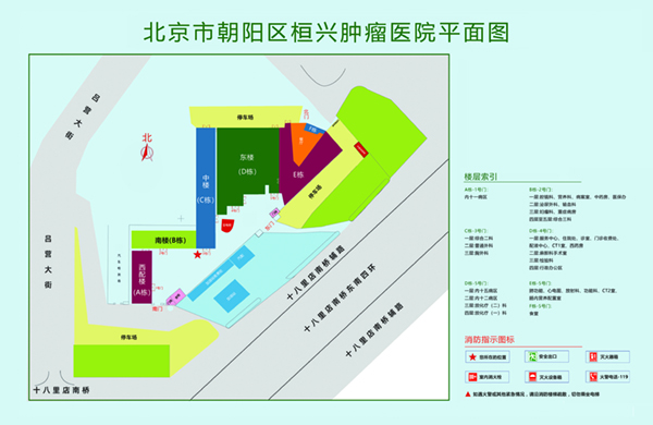 男人鸡巴插入女人逼羞羞小视频下载入口北京市朝阳区桓兴肿瘤医院平面图